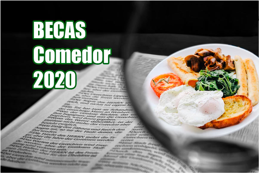 Libro lupa y comida